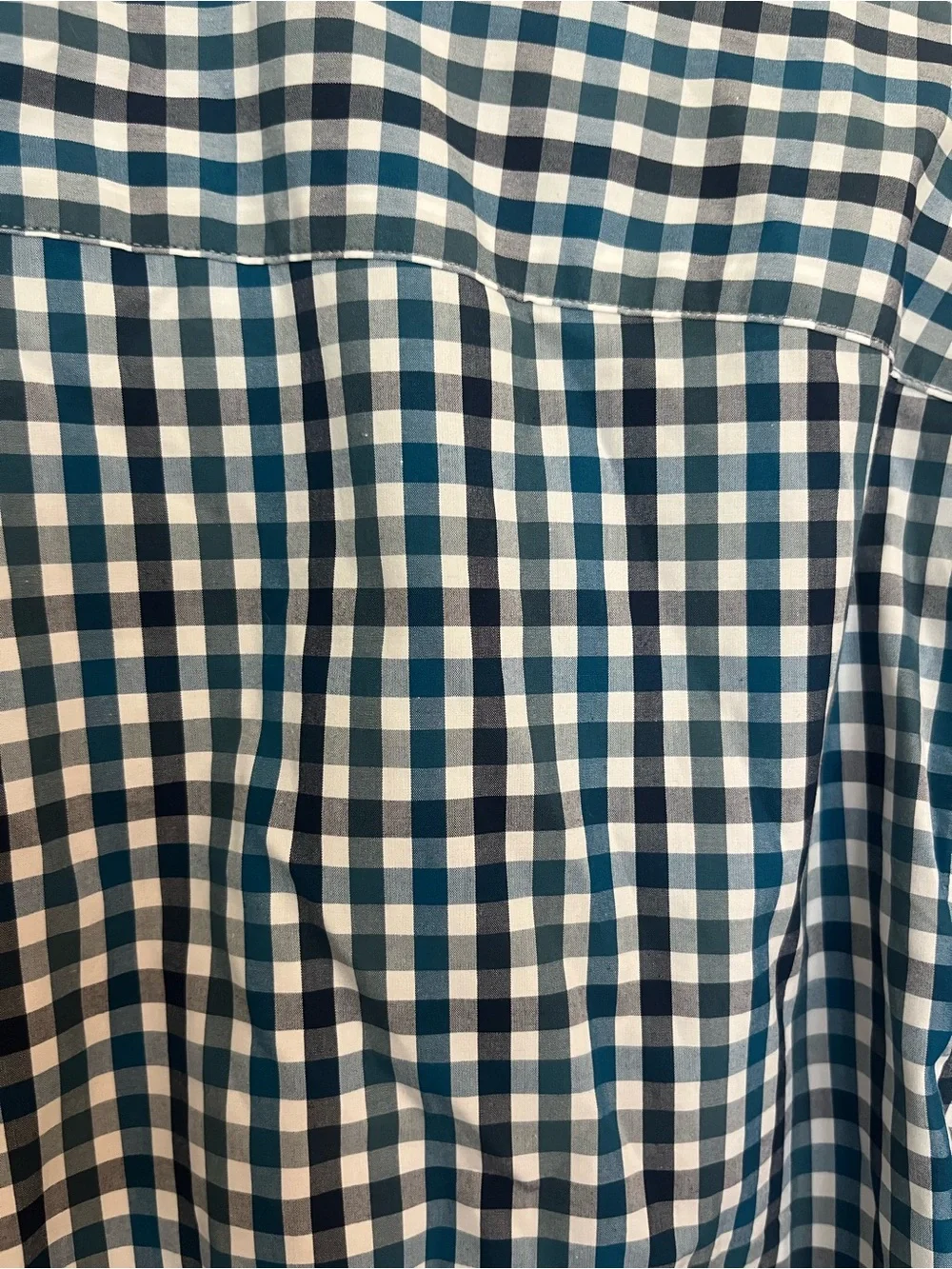 Banana Republic Men's Navy & White Gingham Button-Down Shirt